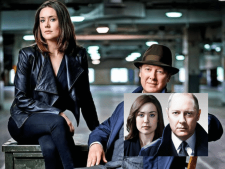 Mira Melek in „The Blacklist“: Die Wahrheit über Meera Malik? mira melek blacklist